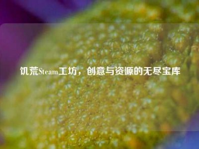 饥荒Steam工坊，创意与资源的无尽宝库