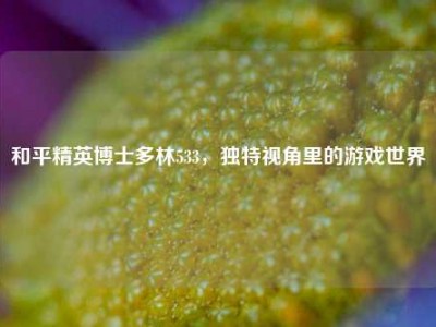 和平精英博士多林533，独特视角里的游戏世界