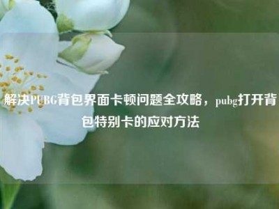 解决PUBG背包界面卡顿问题全攻略，pubg打开背包特别卡的应对方法