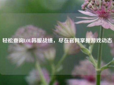 轻松查询LOL韩服战绩，尽在官网掌握游戏动态