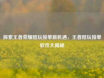 探索王者荣耀陪玩接单新机遇，王者陪玩接单软件大揭秘