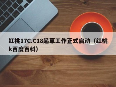 红桃17C.C18起草工作正式启动（红桃k百度百科）