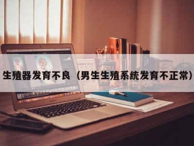 生殖器发育不良（男生生殖系统发育不正常）