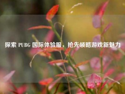 探索 PUBG 国际体验服，抢先领略游戏新魅力