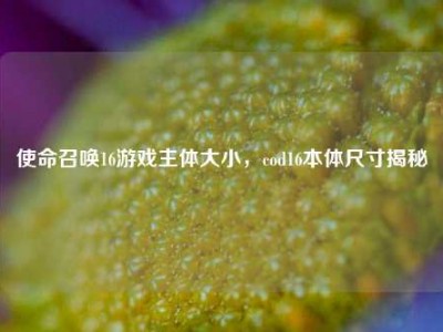 使命召唤16游戏主体大小，cod16本体尺寸揭秘