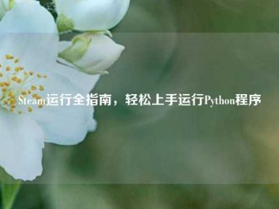 Steam运行全指南，轻松上手运行Python程序