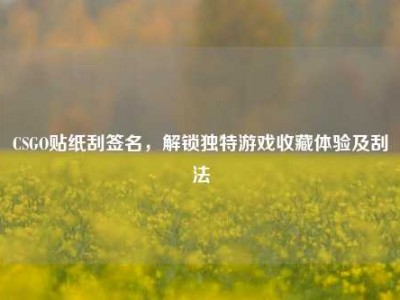 CSGO贴纸刮签名，解锁独特游戏收藏体验及刮法