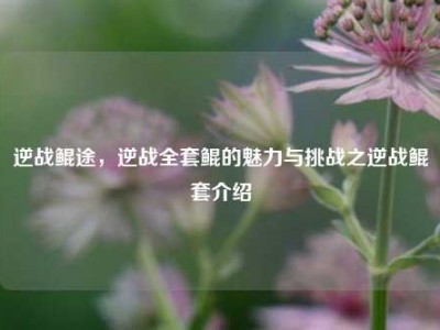 逆战鲲途，逆战     鲲的魅力与挑战之逆战鲲套介绍