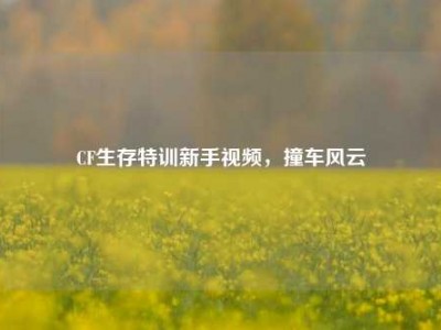 CF生存特训新手视频，撞车风云