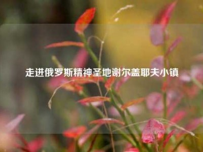 走进俄罗斯精神圣地谢尔盖耶夫小镇