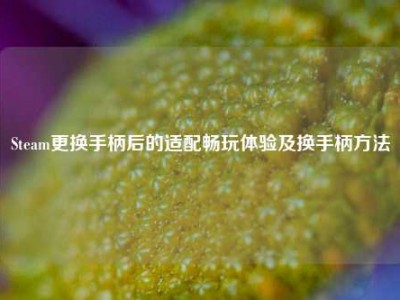 Steam更换手柄后的适配畅玩体验及换手柄     
