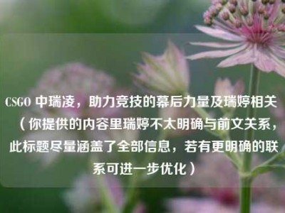CSGO 中瑞凌，助力竞技的幕后力量及瑞婷相关 （你提供的内容里瑞婷不太明确与前文关系，此标题尽量涵盖了全部信息，若有更明确的联系可进一步优化）