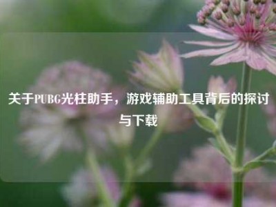 关于PUBG光柱助手，游戏辅助工具背后的探讨与下载