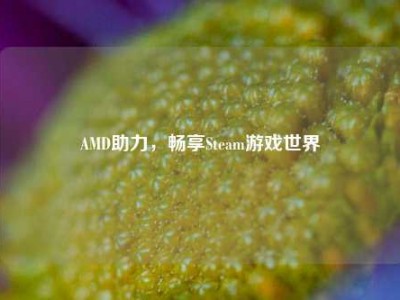 AMD助力，畅享Steam游戏世界