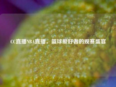 CC直播NBA直播，篮球爱好者的观赛盛宴
