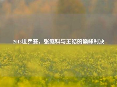 2013世乒赛，张继科与王皓的巅峰对决
