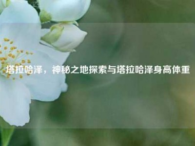 塔拉哈泽，神秘之地探索与塔拉哈泽身高体重