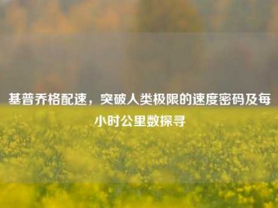 基普乔格配速，突破人类极限的速度密码及每小时公里数探寻