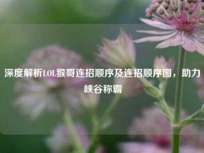 深度解析LOL猴哥连招顺序及连招顺序图，助力峡谷称霸