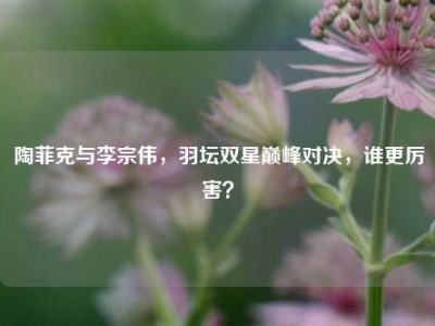 陶菲克与李宗伟，羽坛双星巅峰对决，谁更厉害？