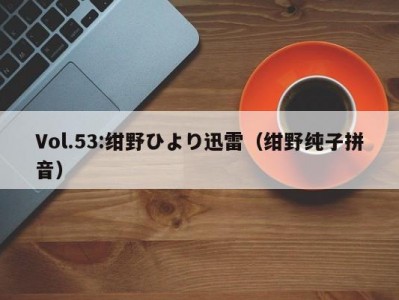 Vol.53:绀野ひより迅雷（绀野纯子拼音）