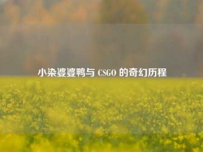 小染婆婆鸭与 CSGO 的奇幻历程