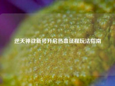 逆天神战新号开启热血征程玩法指南