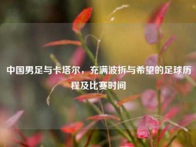 中国男足与卡塔尔，充满波折与希望的足球历程及比赛时间