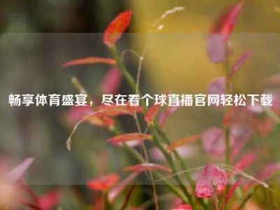 畅享体育盛宴，尽在看个球直播官网轻松下载