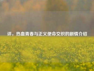 评，热血青春与正义使命交织的剧情介绍
