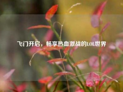 飞门开启，畅享热血激战的LOL世界