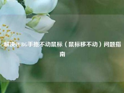 解决PUBG手拖不动鼠标（鼠标移不动）问题指南
