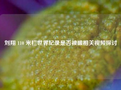 刘翔 110 米栏世界纪录是否被破相关视频探讨