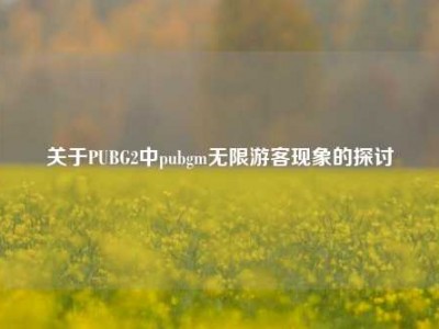 关于PUBG2中pubgm无限游客现象的探讨