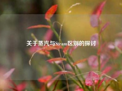 关于蒸汽与Steam区别的探讨