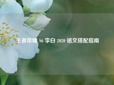 王者荣耀 S6 李白 2020 铭文搭配指南
