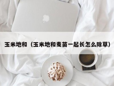 玉米地和（玉米地和麦苗一起长怎么除草）