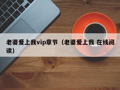 老婆爱上我vip章节（老婆爱上我 在线阅读）