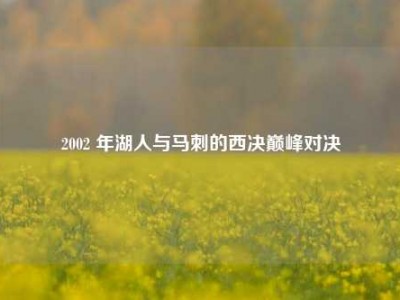 2002 年湖人与马刺的西决巅峰对决