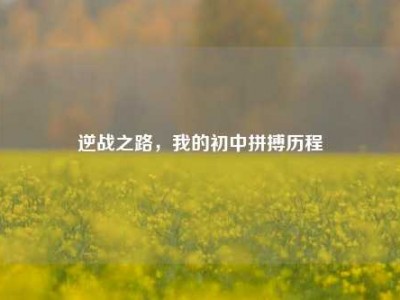 逆战之路，我的初中拼搏历程