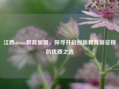 江西steam教育加盟，探寻开启创新教育新征程的优质之选