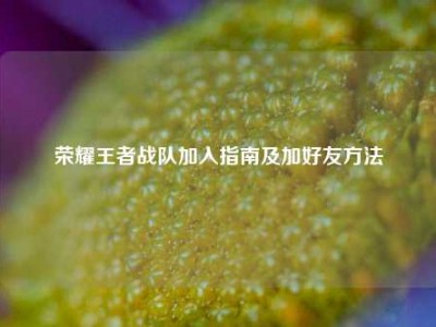 荣耀王者战队加入指南及加好友     