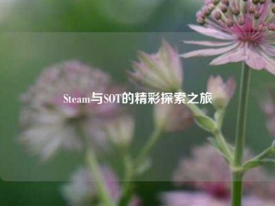 Steam与SOT的精彩探索之旅