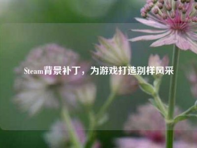 Steam背景补丁，为游戏打造别样风采
