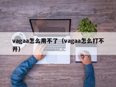 vagaa怎么用不了（vagaa怎么打不开）