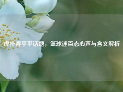 虎扑湿乎乎话题，篮球迷百态心声与含义解析