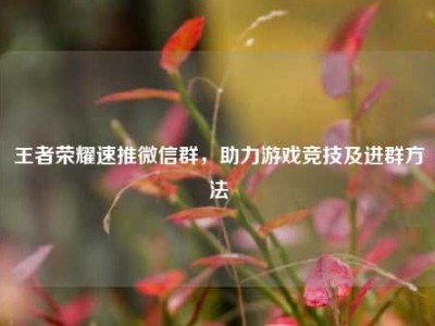 王者荣耀速推微信群，助力游戏竞技及进群方法