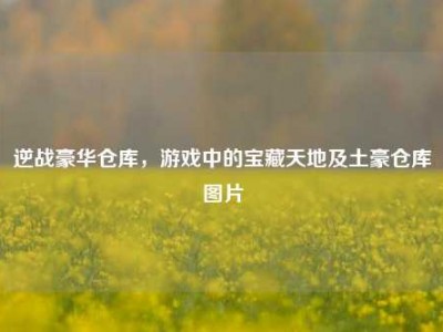 逆战豪华仓库，游戏中的宝藏天地及土豪仓库图片