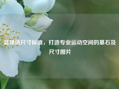 篮球场尺寸标准，打造专业运动空间的基石及尺寸图片