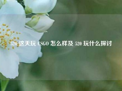 520 这天玩 CSGO 怎么样及 520 玩什么探讨